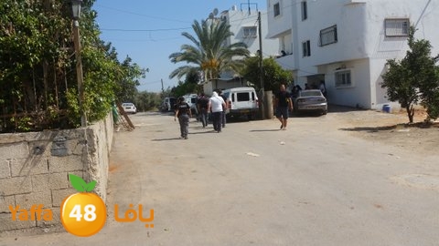 dahmashasudwq (5).jpg